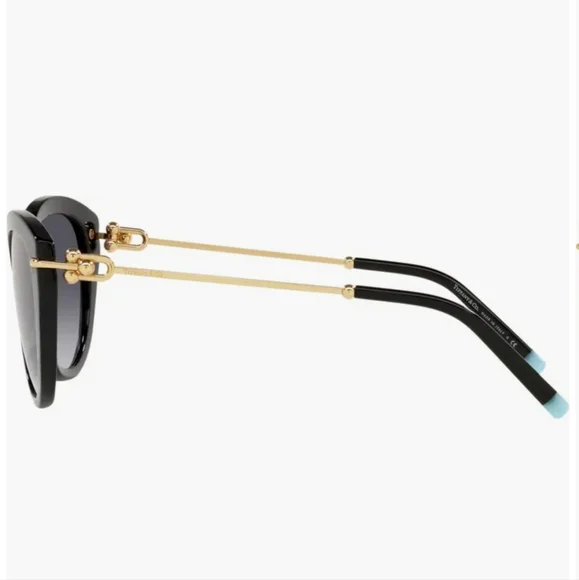 Tiffany & Co. | Accessories | Tiffany Co Tf487 Sunglasses 